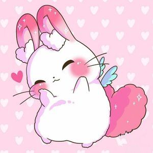 Hi !🐰